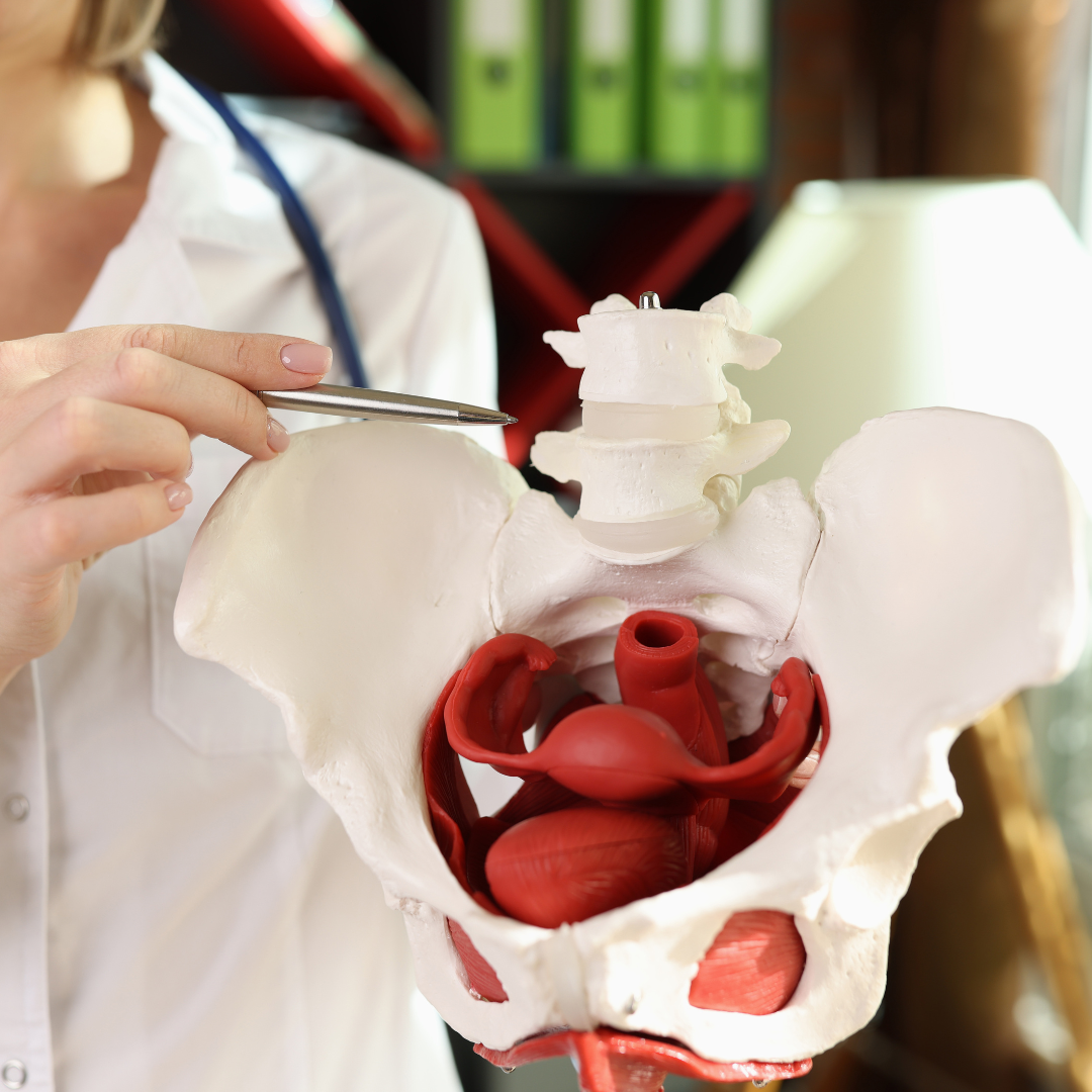 Woman holding pelvis